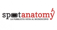 Il Self Promo dell'agenzia copiaincolla finisce anche su Spotanatomy